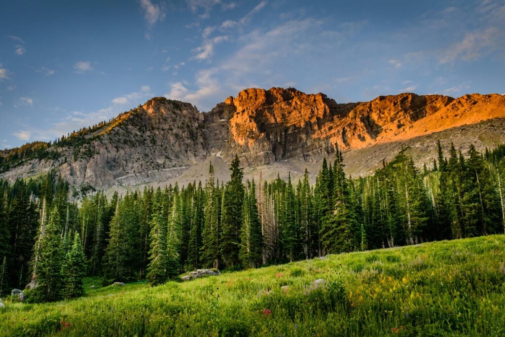 Scenic sunrise view of forested mountain landscape in Alta, Utah, showcasing vibrant natural beauty.